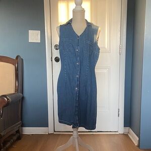 Sleeveless Button-Front Denim Dress in Medium Blue